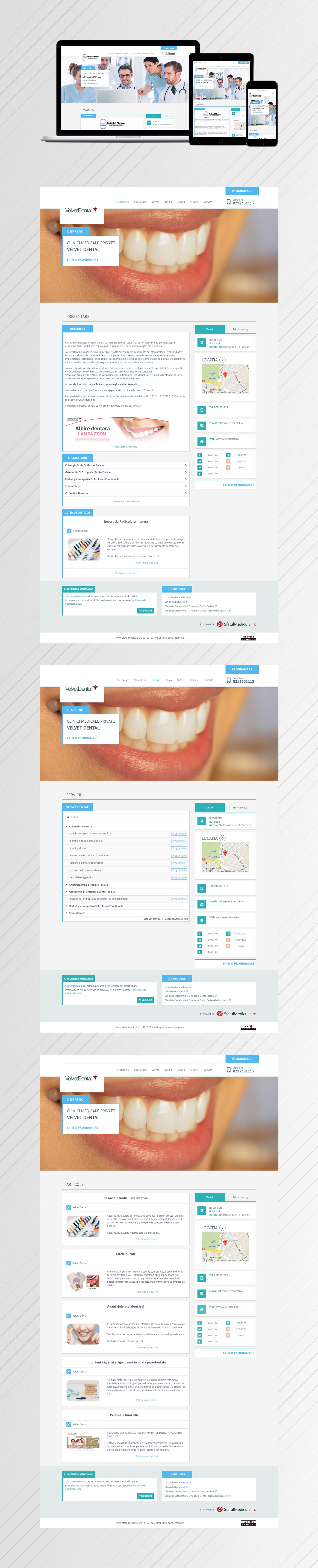 SFM.ro Responsive Minisites